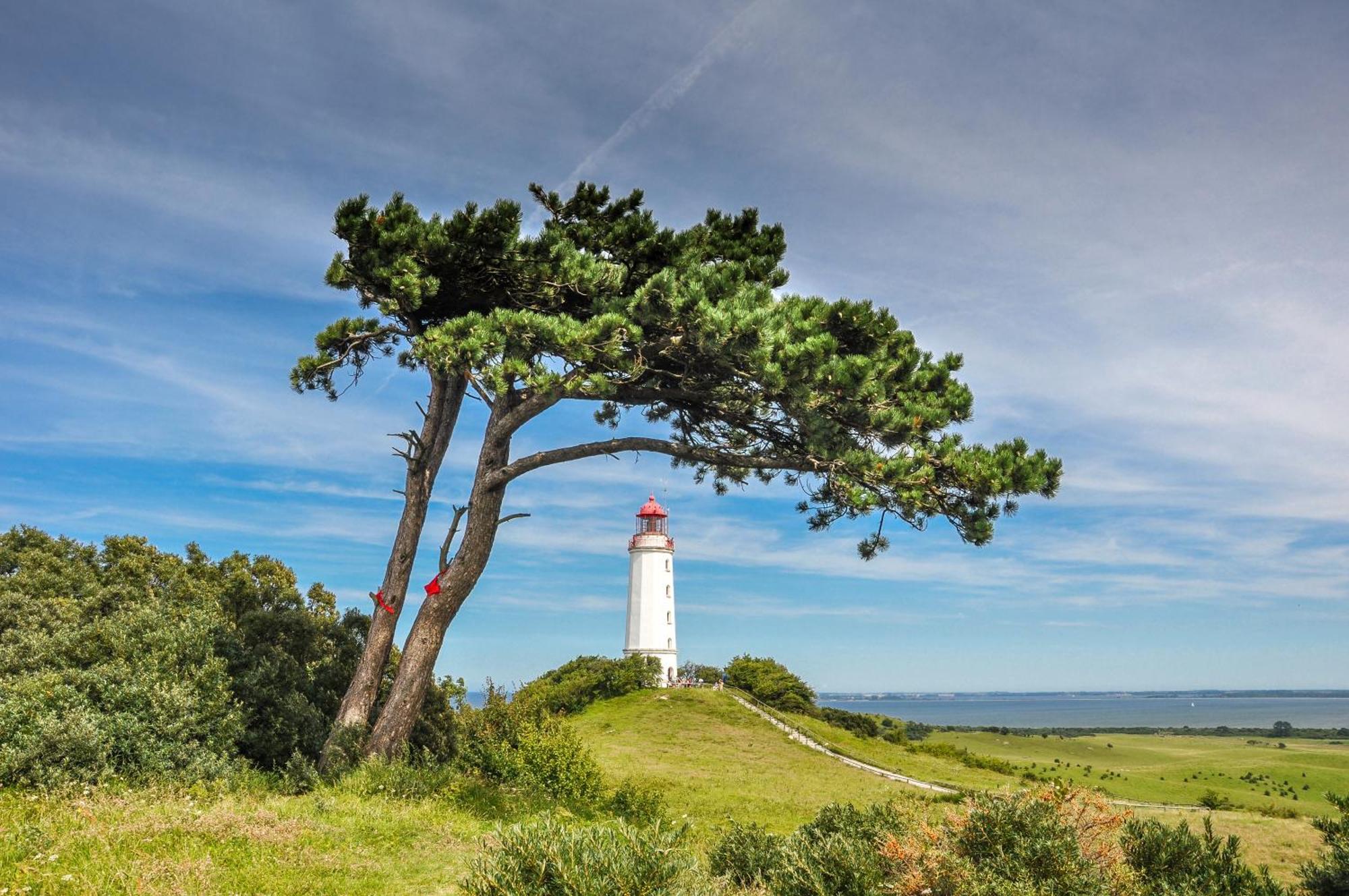 Hotel Ruegenschmiede Vis A Vis Hiddensee Schaprode Exterior photo